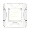 WHITE-CGS