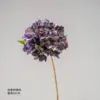 Autumn Purple Hydrangea