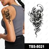 TBS8021