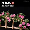 Vignes de pivoine - rose foncé