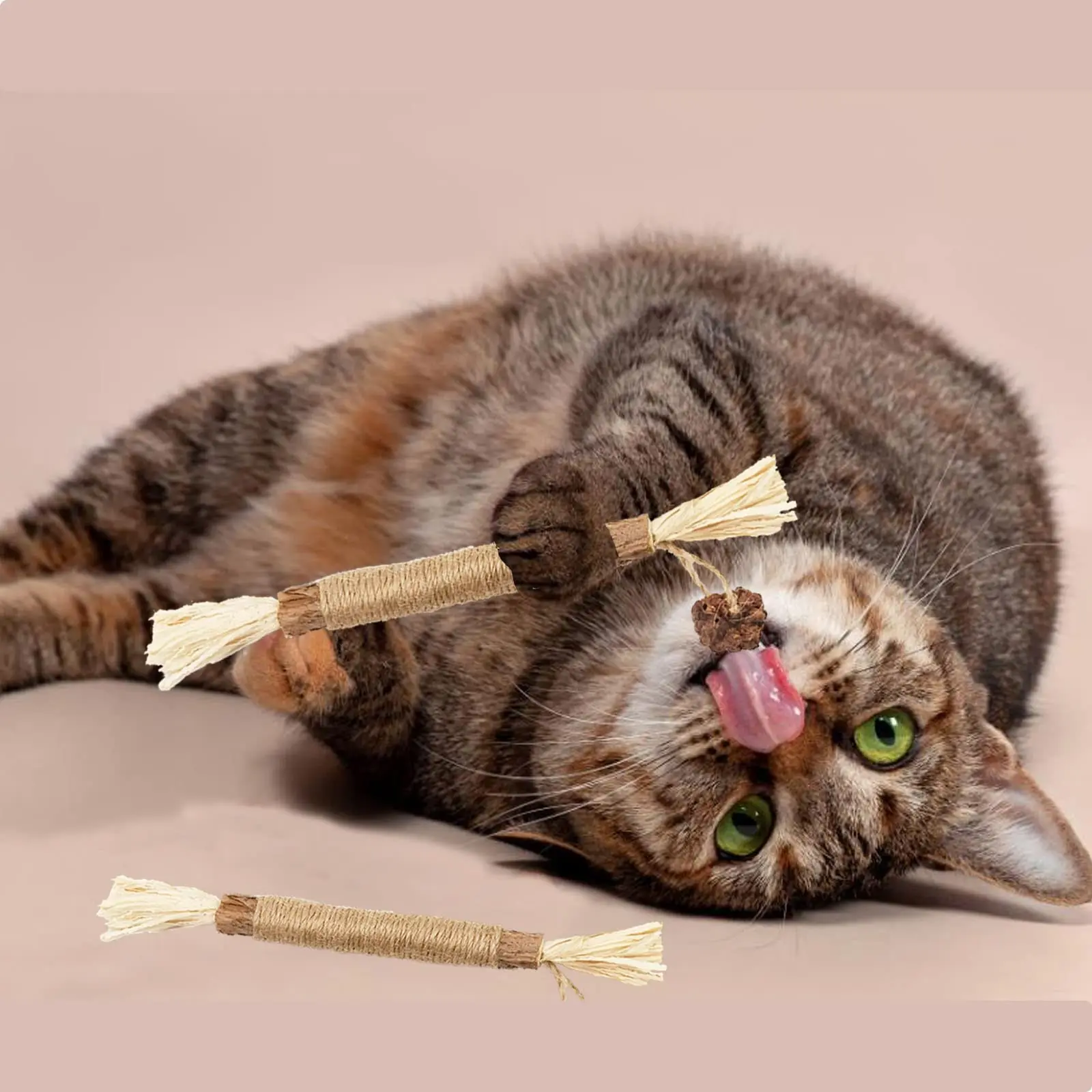 Cat Toys Natural Indoor Interactive Catnip Teeth Cat Chew Toy Matatabi Stick for Cats