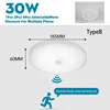 Tipo B-30W