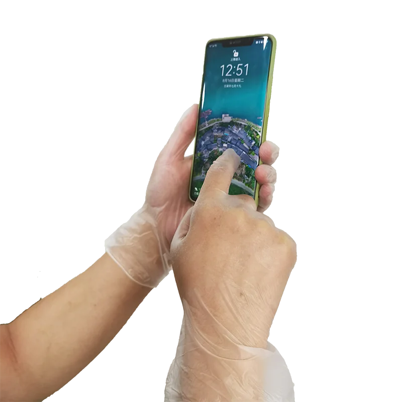 Huayuan China Manufacturer Factory Direct Best Selling Powder Free Disposable Clear Pvc Vinyl