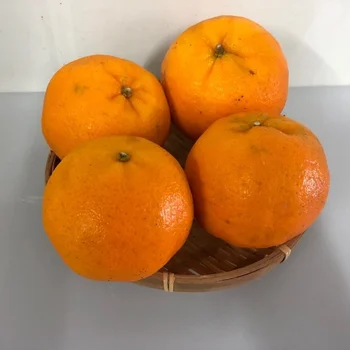 Mandarina Mandarin Orange Fresh Fruit Mandarins From Argentina, 1 kg / 2.2  lb bag