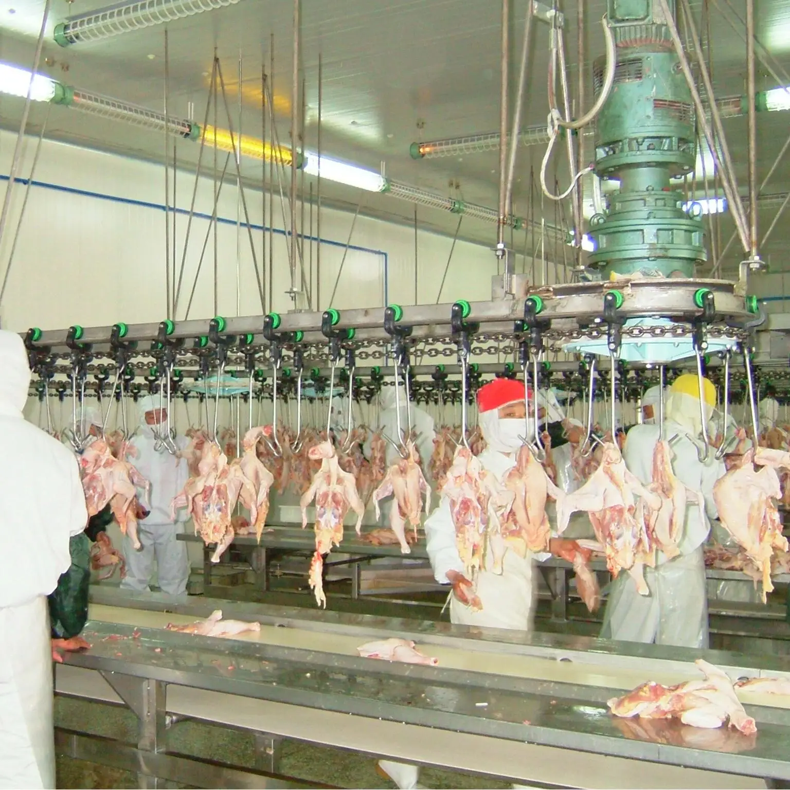 Small poultry slaughtering machine, suitable for poultry farms and small slaughterhouses