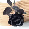 Little Paris All Black