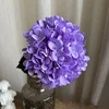 #6 dark purple