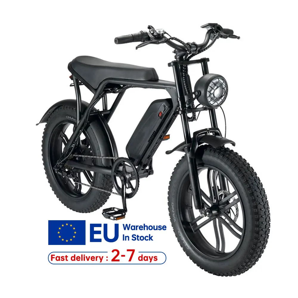 Free Shipping Vintage EBike EU Warehouse Door to Door Electric