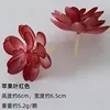 สีแดงใบแอปเปิ้ล