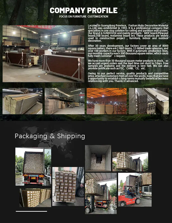 Acoustic Slat Wall Panel with Noise Reduction Coefficient 1.1 More Than 5 Years Warranty and 3D Model Design