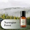 Norwegian Wood