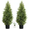 Cedar Topiary Trees - 2 Pack 3ft
