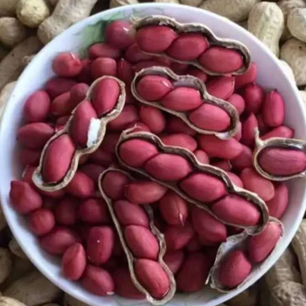 Peanuts 50 Kg Bulk Raw Peanuts Peanuts Price Peanut Seeds