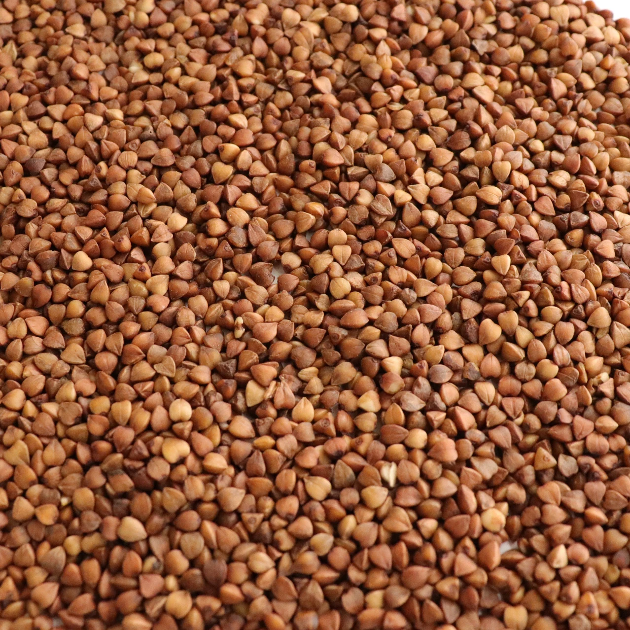 Unhulled With Best Quality and Competitive Price BUCK WHEAT Grain  Roasted Buckwheat Kernel