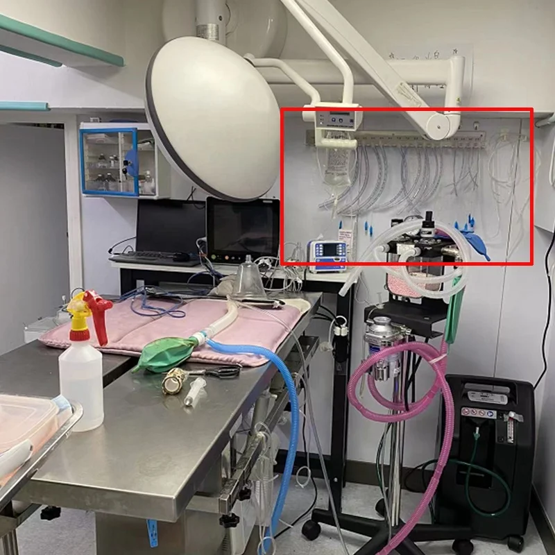 Bronchial and Tracheal Stent Wall-Mounted Endotracheal Tube Holder for ...