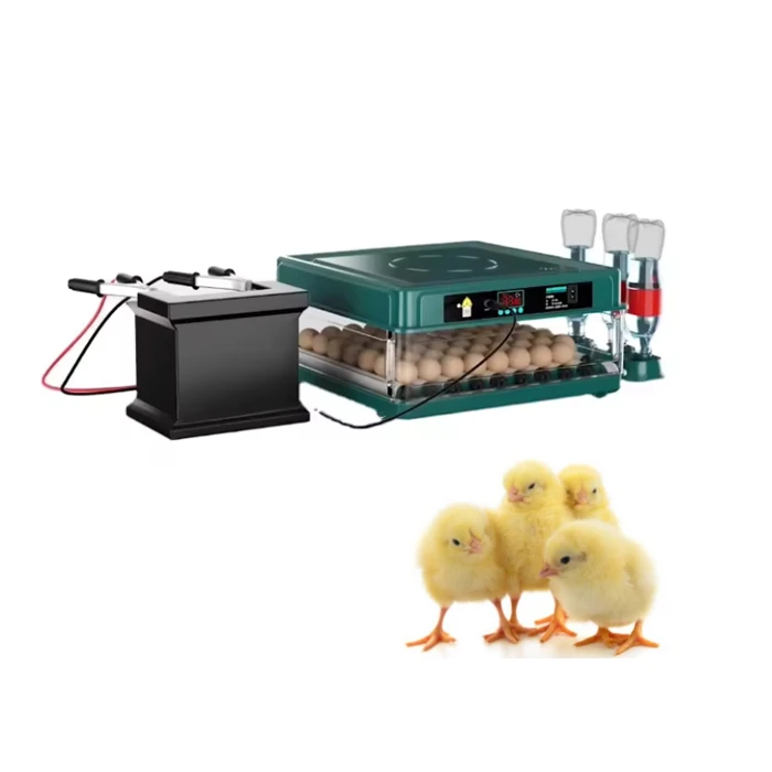 Generic Entièrement Automatique Couveuse Volaille, Couveuse 24 Oeufs