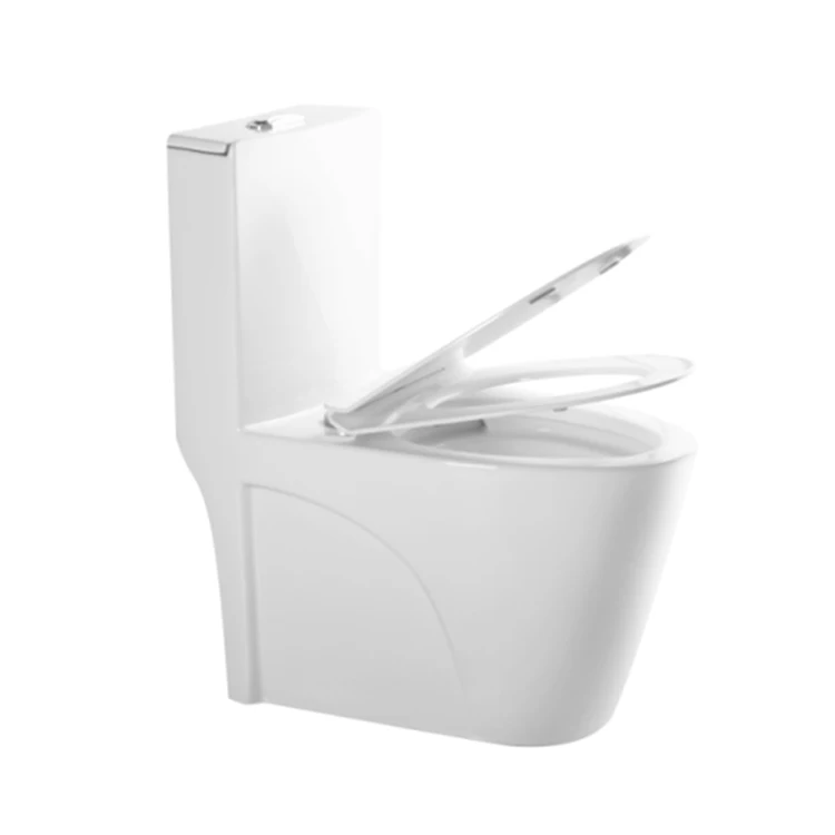 Modern Inodoro One Piece Toilet Siphonic White Elongated Dual Flush Porcelain Floor Mounted Commode