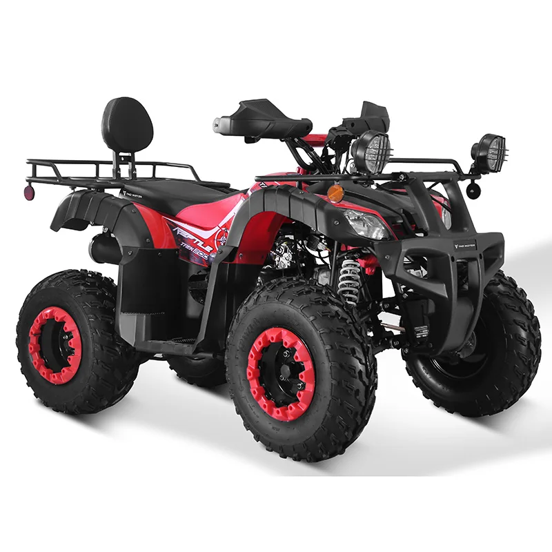 タオモータースチール自動クワッドバイク250ccAtv 250cc 4x4 for