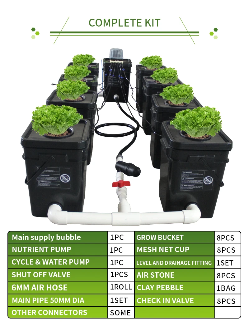 Rdwc 8 Buckets Recirculating Hydroponic System Dutch Bucket System ...