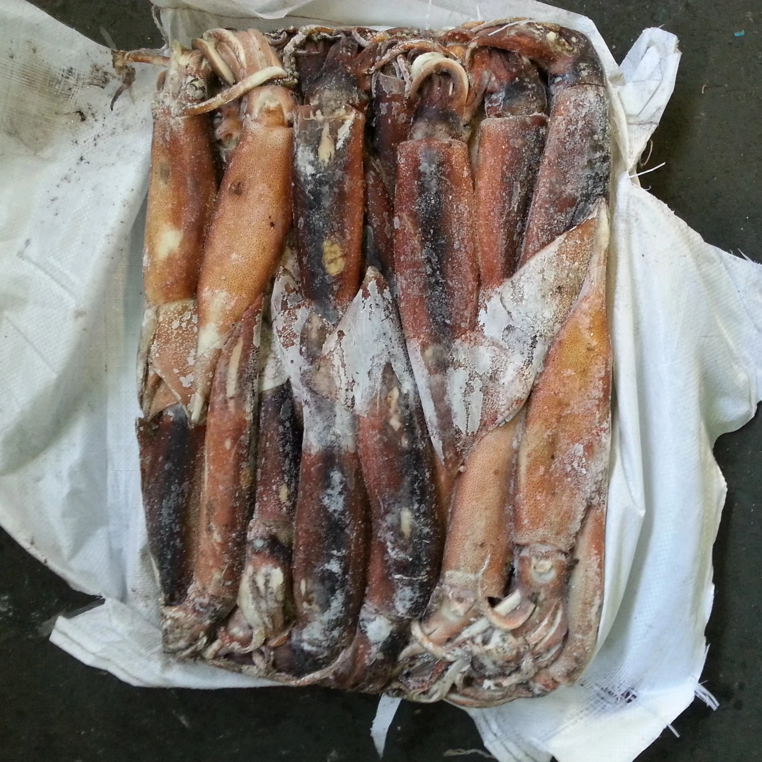 150-200 г 200-300 300-400 оптом Замороженные Кальмары Illex целые круглые