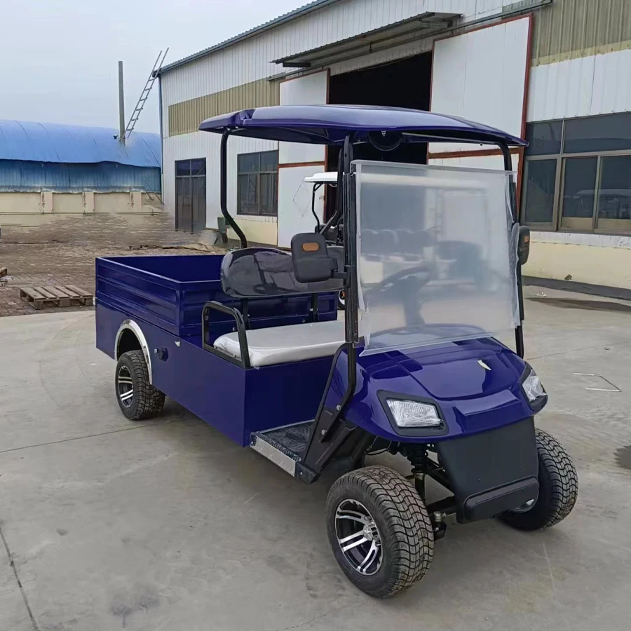 Cheap Farm Utility Electric Utility Vehicle Golf Cart Mini 2 Seater Golf Cart With Cargo Bed