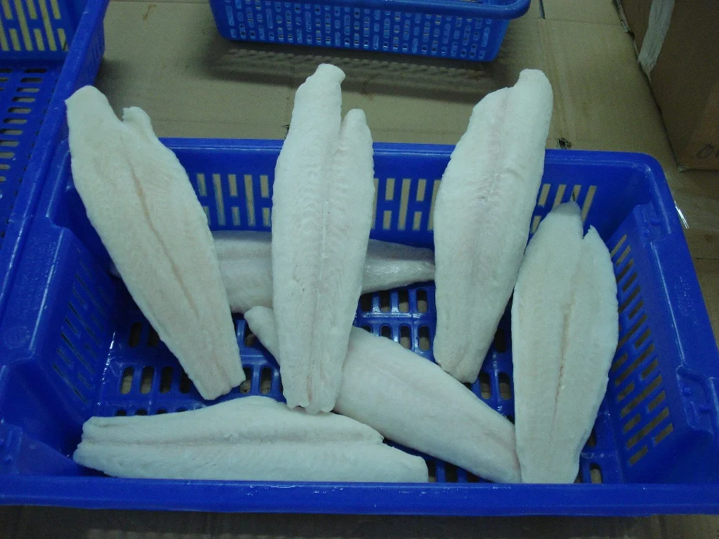 Safe and Nutritious Frozen Swai Fish Fille Pangasius Fillet Sutchi Catfish  Fillet From VietNam