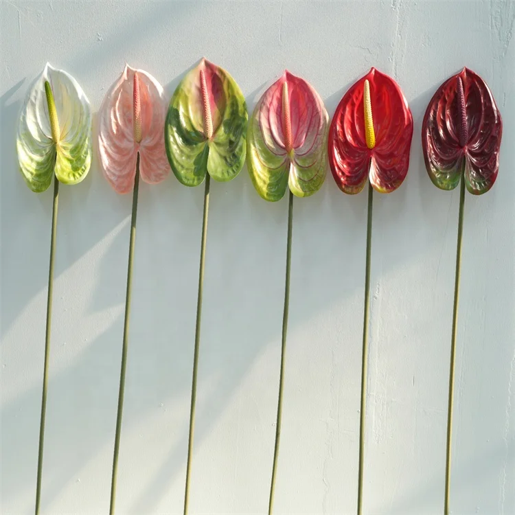 Alibaba.com: High Quality Artificial Anthurium Plant, Large White Green  Flower, Real Touch Plastic Material : Ideal for Table Centerpiece and  Wedding Decoration