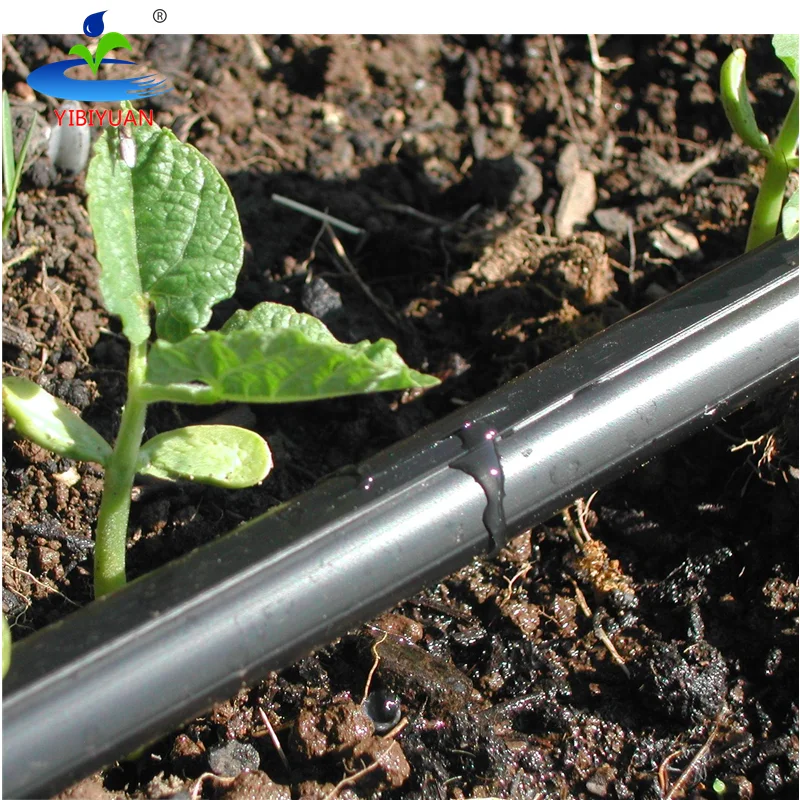 One Hectare T Tape Irrigation Drips 0.3cm 0.3mm 2Bar 16mm T-Tape Dripline