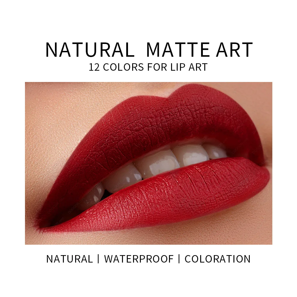 New Matte Makeup Lipstick Private Label Waterproof Nude Matte Lipstick Pen 12 Colors for Girls Lasting Moisturizing Lipstick