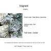 Vagrant
