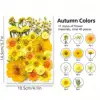 40 ชิ้น/ถุง, สีเหลือง