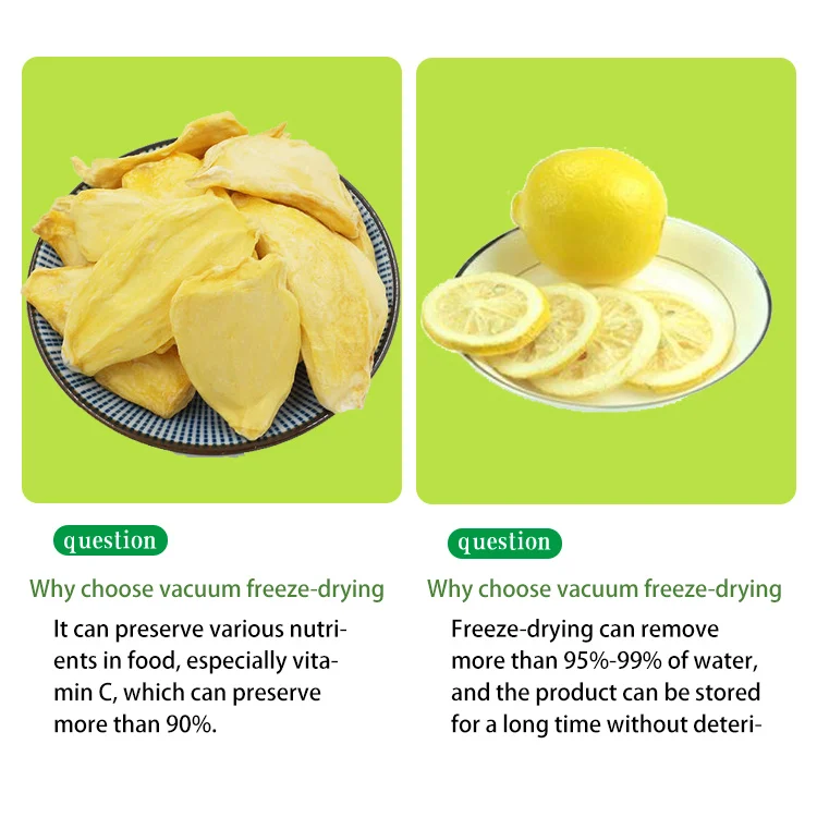 TCA Small Type Freeze Drying Lyophilizer Machine Industrial Fruit and Vegetables Vacuum Freeze Dryer