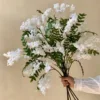5 white