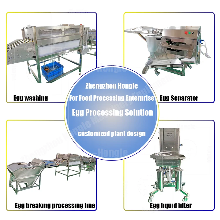 Multifunctional Automatic Egg Cleaner Classifier Grader Machine Small Egg Washing Grading Machine With Low Price details