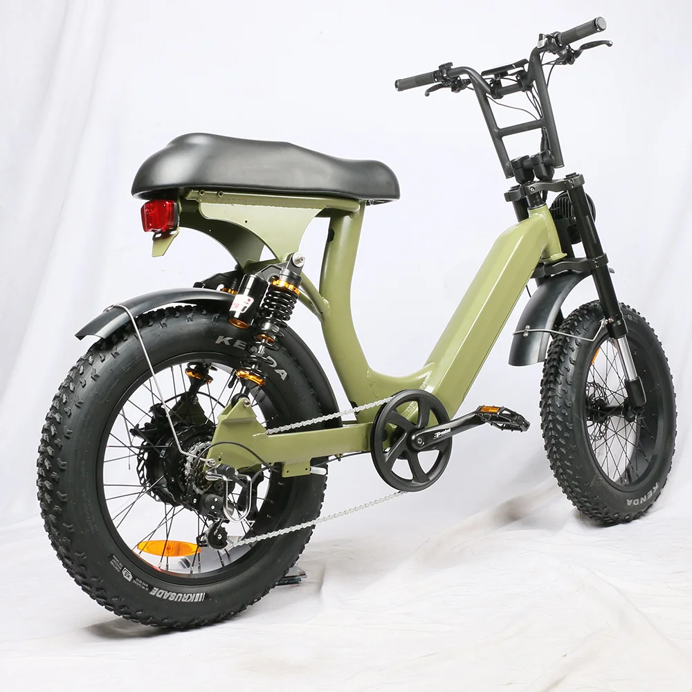 20''grasso pneumatico Ebike verde Super potenza pedalata assistita