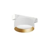 White + Gold