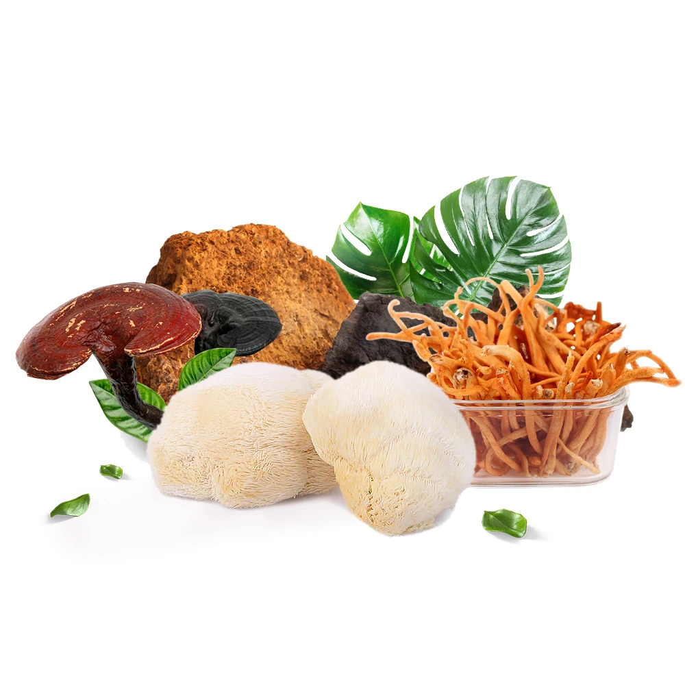 Private Label OEM Ganoderma Lucidum Reishi Mushroom Extract Instant Black Coffee 30 Days