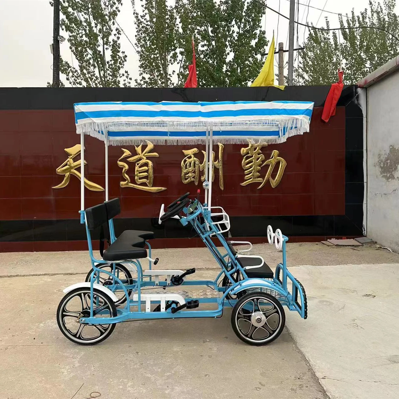 Factory Direct Sightseeing Double Adult Bicycle tandem Electric Bike Two Person tandem Bike with Baby Seat Parent-child Bikes