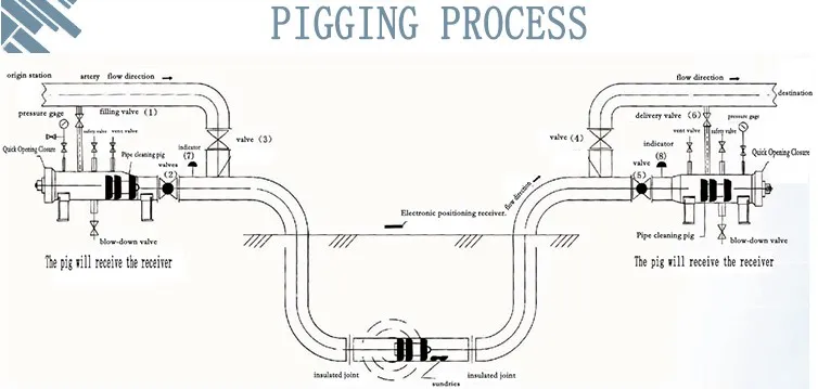 pipeline pig