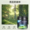 Forest after rain
