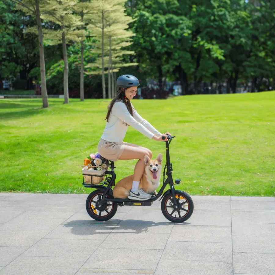 EU UK Warehouse Hot Sale Adults Folding Mobility Electric Scooters