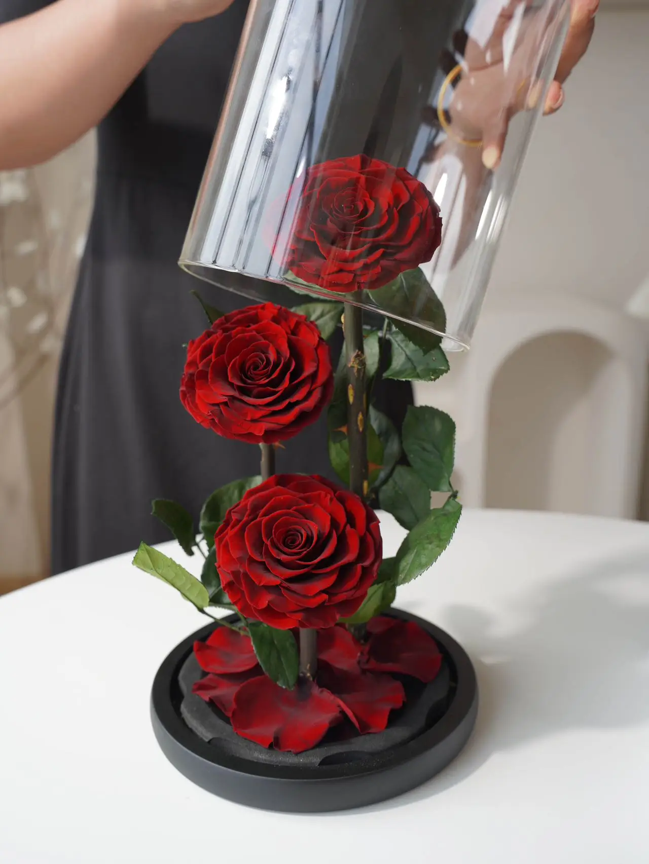 Manufacturer Enchanted Single Flower Rose Glass Dome Preserved Rose