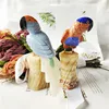 parrot