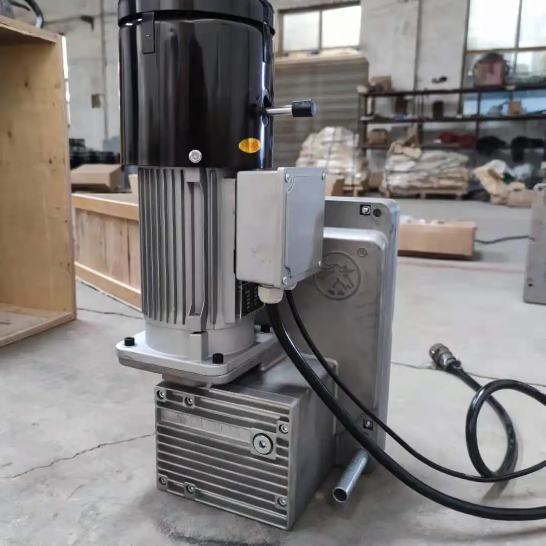 Electric Hoist for Suspended Platform Platform Hoist Motor