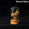 Rosa del deserto