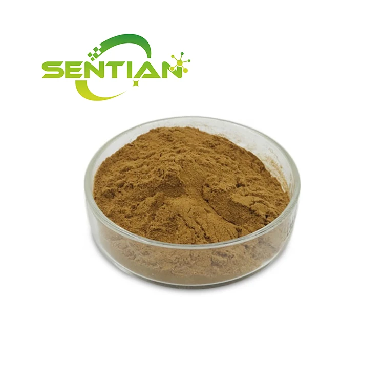 Free Sample Natural Celandine Extract Chelidonium Majus Extract Powder 10:1 Chelidonium Extract