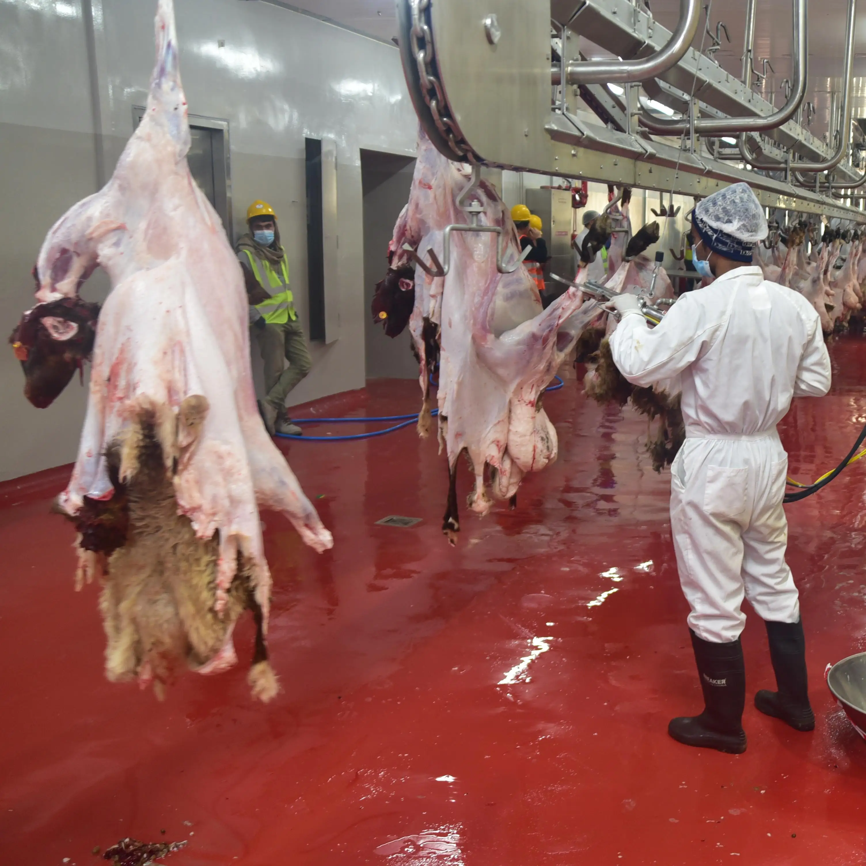 Turnkey Sheep Slaughterhouse Project Complete Automatic Sheep Slaughter Line Halal Abattoir Equipment Manufacturer