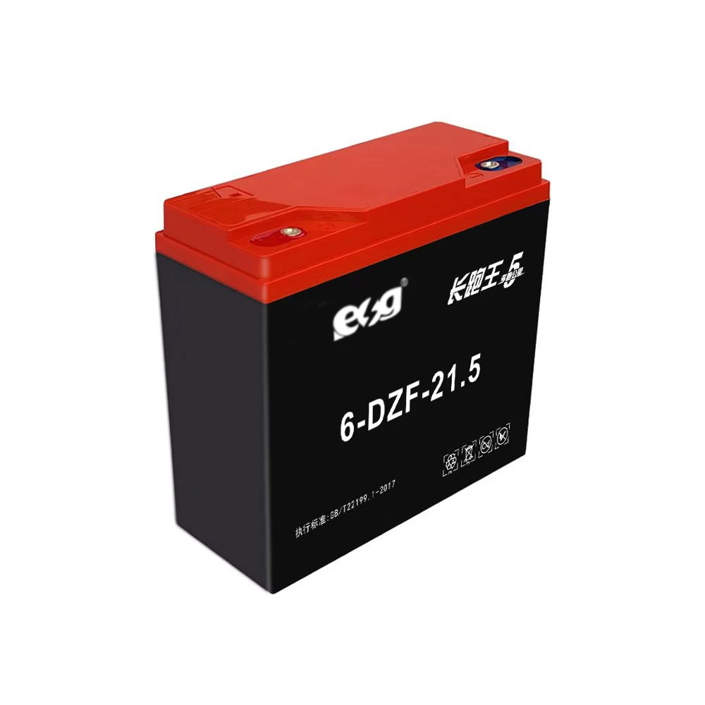 Factory Wholesale Price 12V 6-DZF AGM 22.6AH 23.8Ah Lead-acid