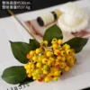 Single bean berry yellow