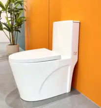 OEM Support Ceramic One Piece Toilets Bowl Toilet Water Closet Siphon Flushing Floor Mounted Toilet